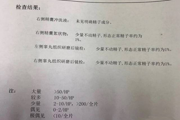 老公无精症做试管婴儿成功受孕