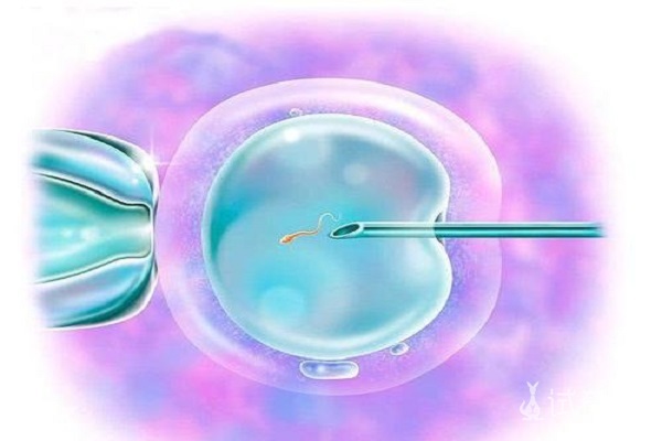 胚胎培养方法是什么