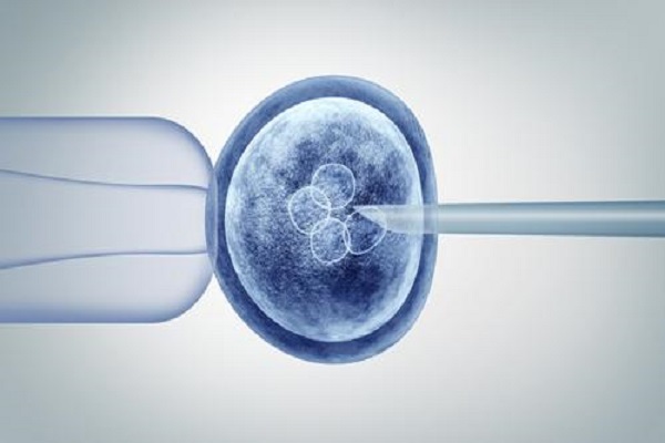 胚胎质量怎么样?