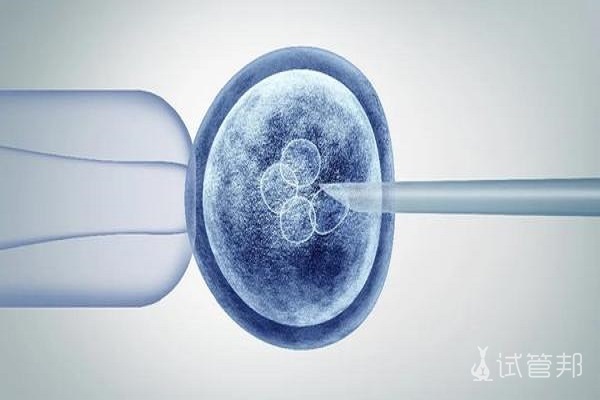 如何进行胚胎培养？