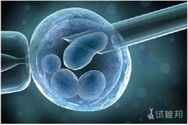 胚胎培养的操作步骤