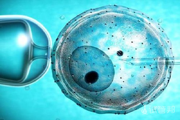 胚胎培养有哪些注意事项