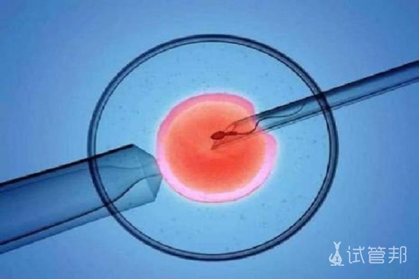 囊胚移植成功有什么症状表现？