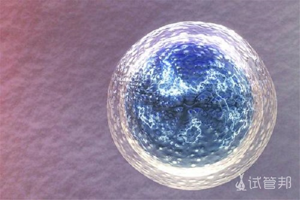 新鲜胚胎移植的条件有哪些
