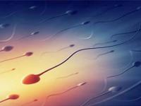 男方的精子活动率低，还可以怀孕吗？