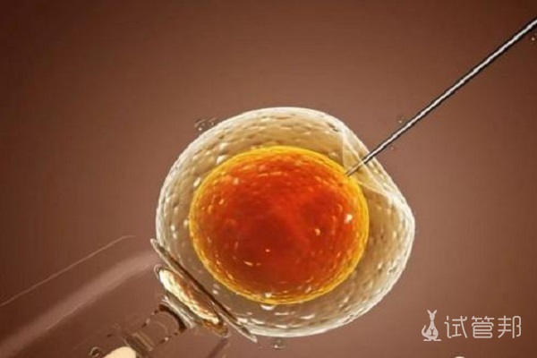 胚胎冷冻需要什么条件