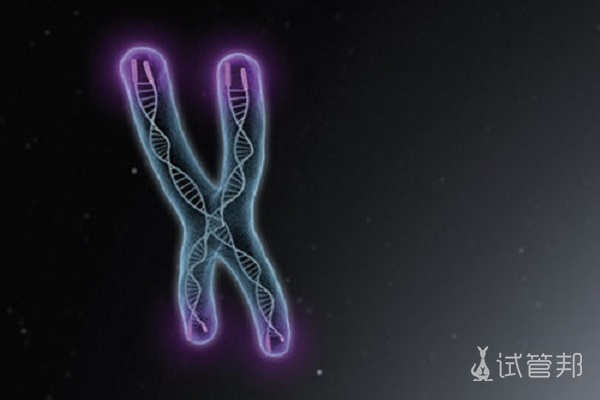 染色体组与染色体组型有什么不同？