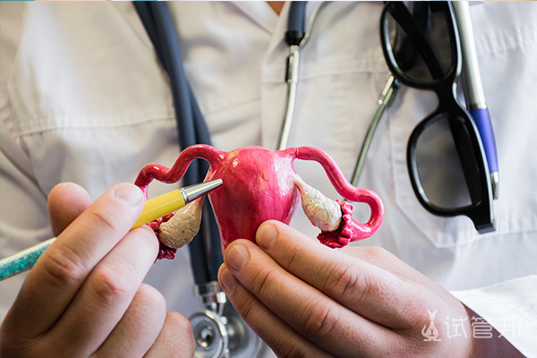 5f8976b425a10e55c1bcfa77787c9b63.jpg 如何科学保养子宫内膜