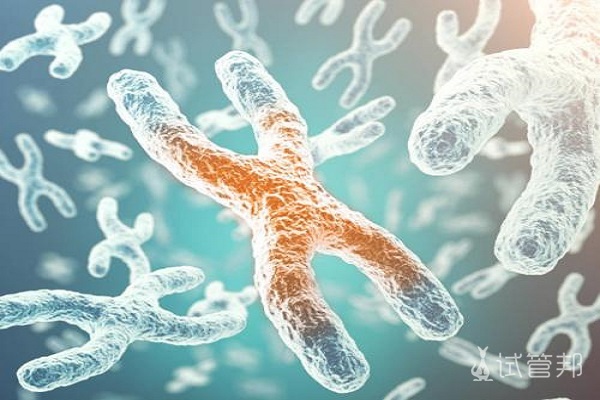 68f98e442f7c790189712201cab5d499.jpg 克氏综合症能生育吗?