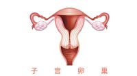 检查卵巢功能需要查些什么？需要要空腹吗？