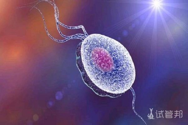 男性精子DNA碎片率和不育有什么关系？
