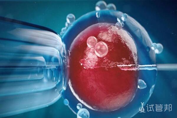 18ef1d1314450459fa2d03504a315fcf.jpg 单角子宫做三代试管婴儿的成功率多高?越早了解越好!