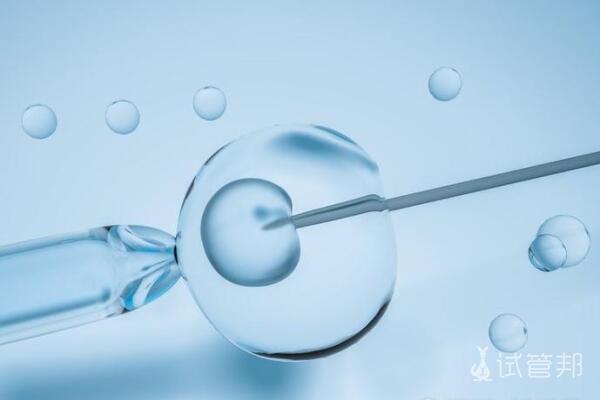 5d32042085dc9aa7e55477f477e4484c.jpg 高龄试管成功率高吗?