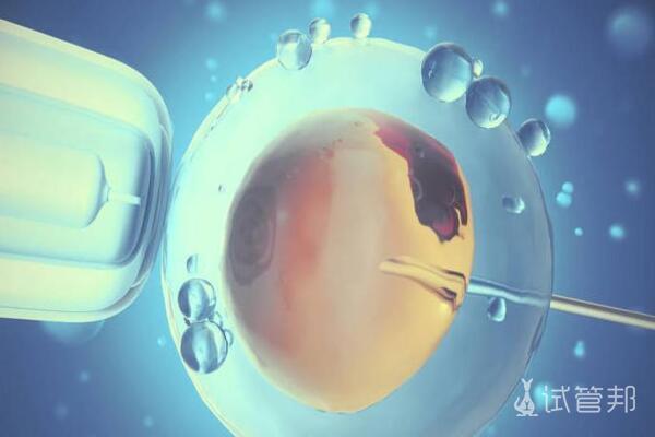 ee110a961e6b24e27379cfe79543e608.jpg 做试管婴儿促排会不会影响卵子质量?