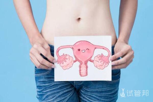 多囊卵巢综合征的主要表现