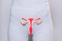 月经几个月不来了，卵巢性闭经有哪些原因？