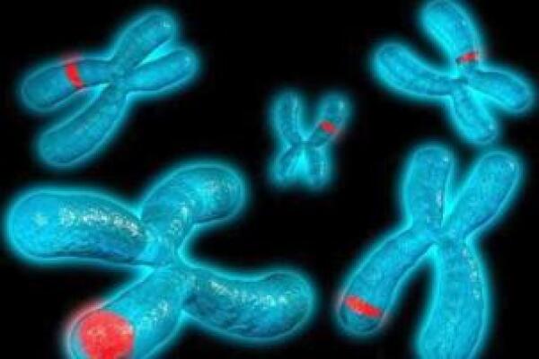 058db142372216088525208da464bb18.jpg 8号染色体是什么病?