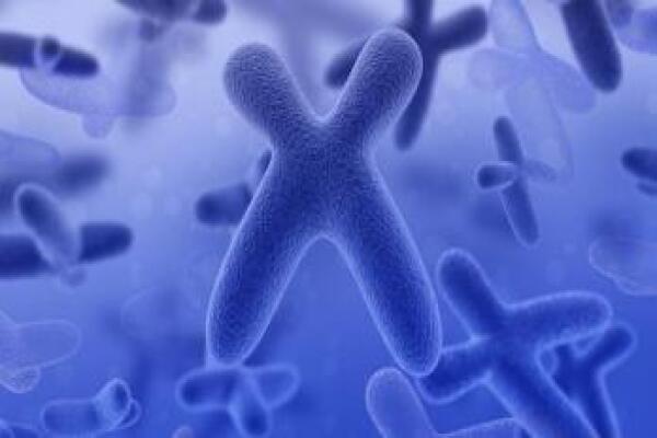8号染色体是什么病有什么症状表现