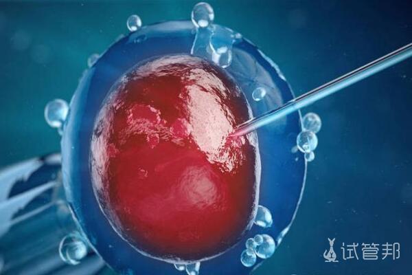 5563153f4d7dbfa930d6d591bb1fe732.jpg 试管婴儿着床出血是什么原因导致的?