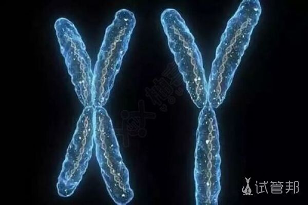 染色体异常是什么意思