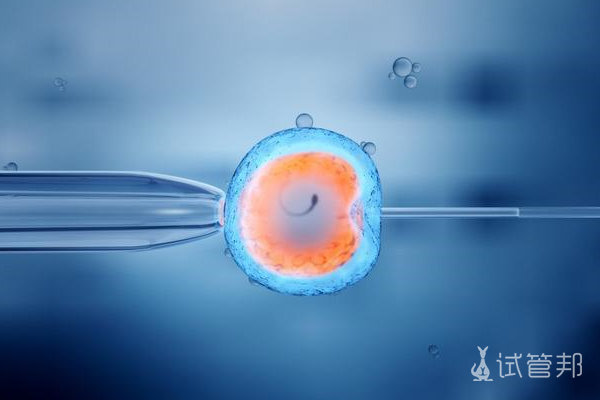 囊胚移植的优势