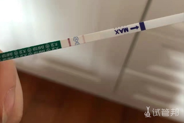 217bb0d0ee8012c97b7ac7884955fc62.jpg 受精卵着床后验孕成功