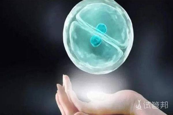 胚胎活检有哪些方式