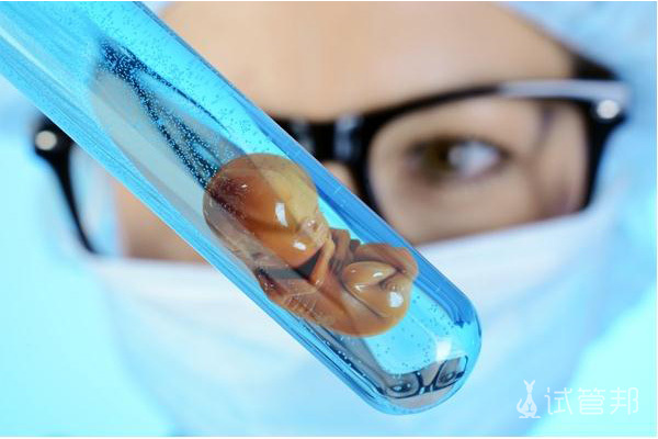 胚胎活检会损害到胚胎吗