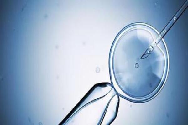 供卵试管婴儿生子几率大吗,试管婴儿促排期间用药会影响卵子质量吗