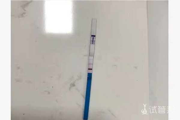 e7af6d9ee36d6970a96ed2c98c928d17.jpg 受精卵着床成功原来真的能感觉到