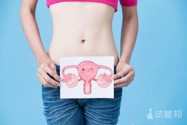 子宫内膜厚可以做第三代试管婴儿吗？医生解读来了！