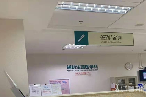 在涿州市医院做试管婴儿成功怀上双胞胎
