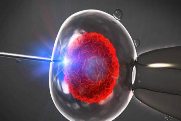 118c2d1eb2b277cec2eee48e684a33e0.jpg 试管婴儿抗结剂方案有哪些优势?