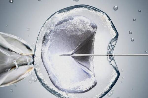 85fa24532f345948882158605fe4e5fb.jpg 试管婴儿抗结剂方案适合哪几类人群?