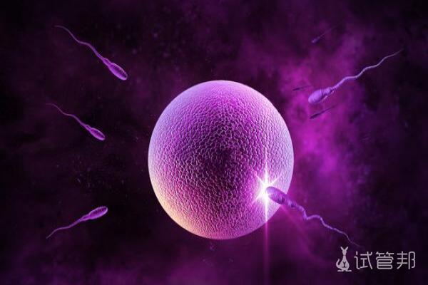 黄体期促排卵怎么提高卵泡质量？