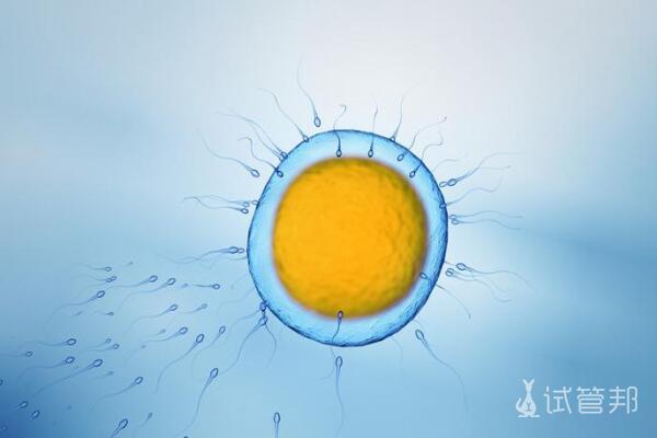 试管婴儿胚胎冷冻移植成功率高吗？
