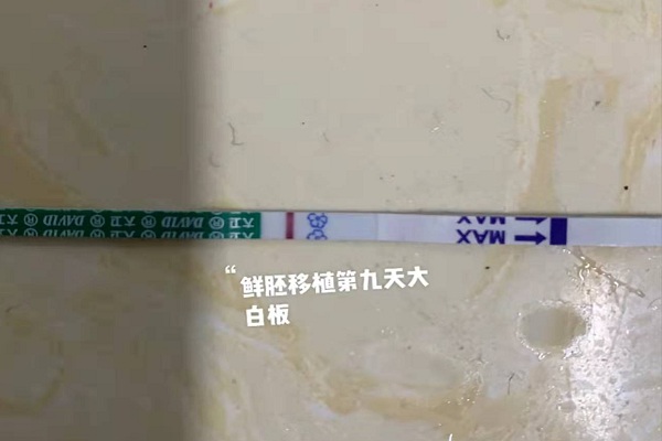 54岁二胎高龄试管婴儿失败