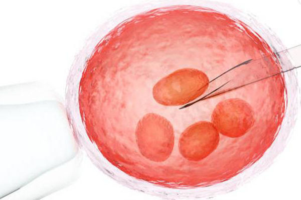 取卵后白细胞偏高可以移植么，试管移植前白细胞偏高有什么办法降下来吗？