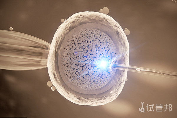 微刺激促排卵方案能连续促排取卵吗