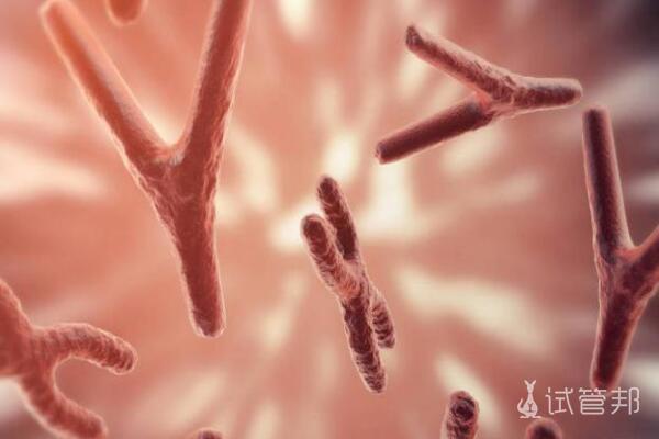 8号染色体三体会引发哪些疾病？