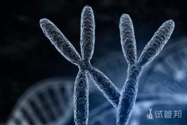 8号染色体异常代表什么病？