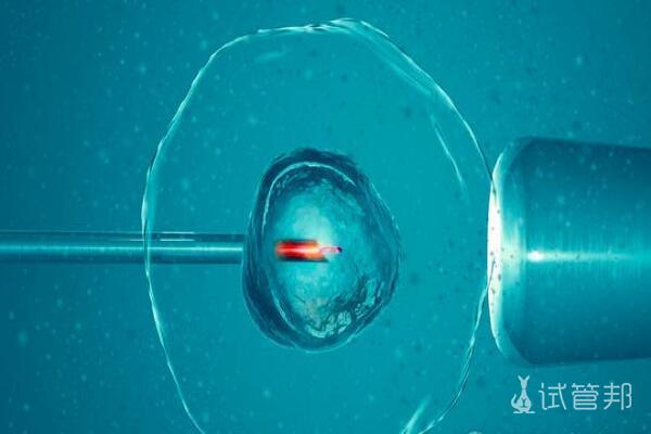第三代试管婴儿促排卵：为什么会出现卵泡不均匀？