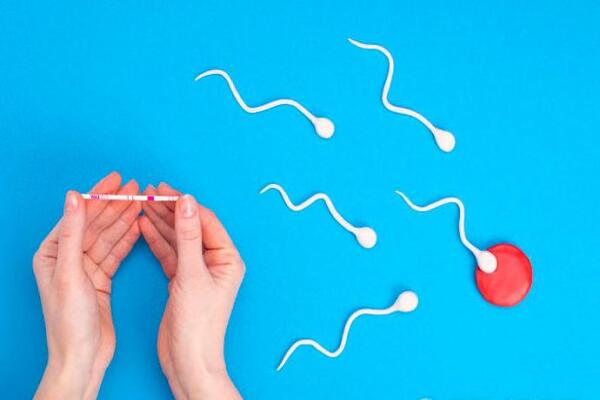 b6c5724a78ebeaa9852fa823cbd97195.jpg 排卵障碍可以做试管婴儿吗?