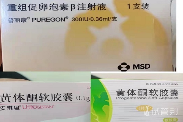 906671fcecf606e9d55d7b6485637ce3.jpg 试管婴儿取卵