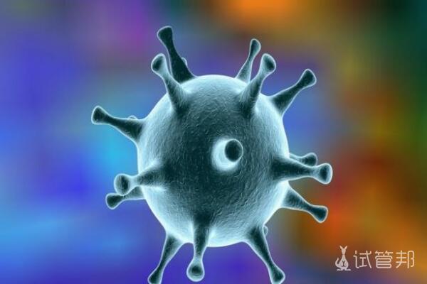 131fb0d340fb6081a9181c1e6d68807e.jpg 什么是人体免疫球蛋白