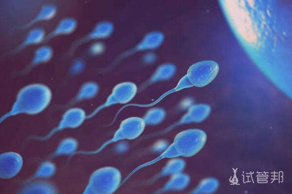 31b61eb643d19f7fc46f1b38b8c511fb.jpg 弱精症会影响生育吗