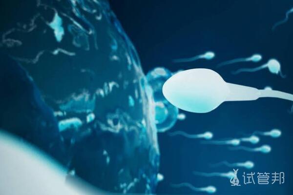 e0fa65a3cb093d86fe516f00bc106f8c.jpg 弱精症会影响生育吗