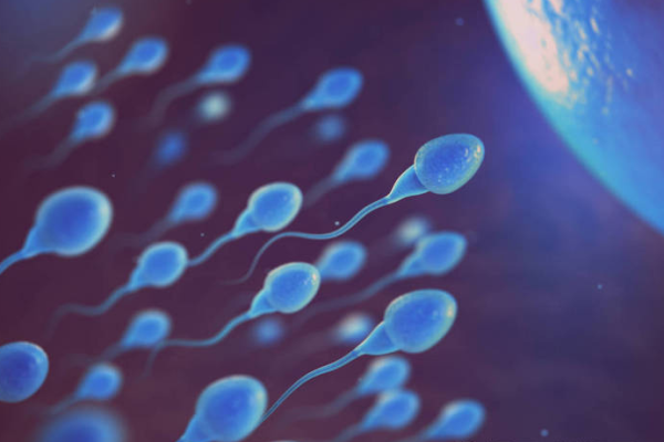 2a80d99e696be5f20b13eb306009b338.png 第二代試管嬰兒過程是怎樣的