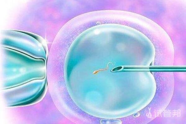 试管婴儿胚胎移植前为什么要憋尿