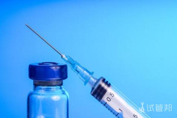 打HPV疫苗期间意外怀孕怎么办